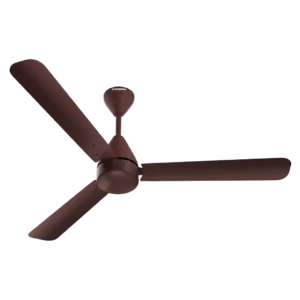 Crompton Energion Cookie BLDC Ceiling Fan